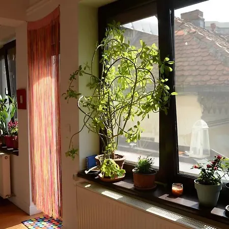 Old Town Bohemian Studio With Garden View Balcony Bucharest Exterior photo